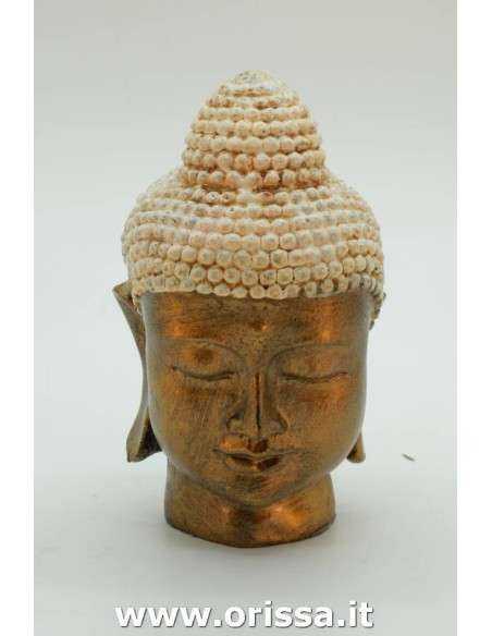 Statua testa Buddha tailandese in resina H 20cm