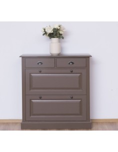 Scarpiera 2 ante e 2 cassetti country in legno colorato MS358